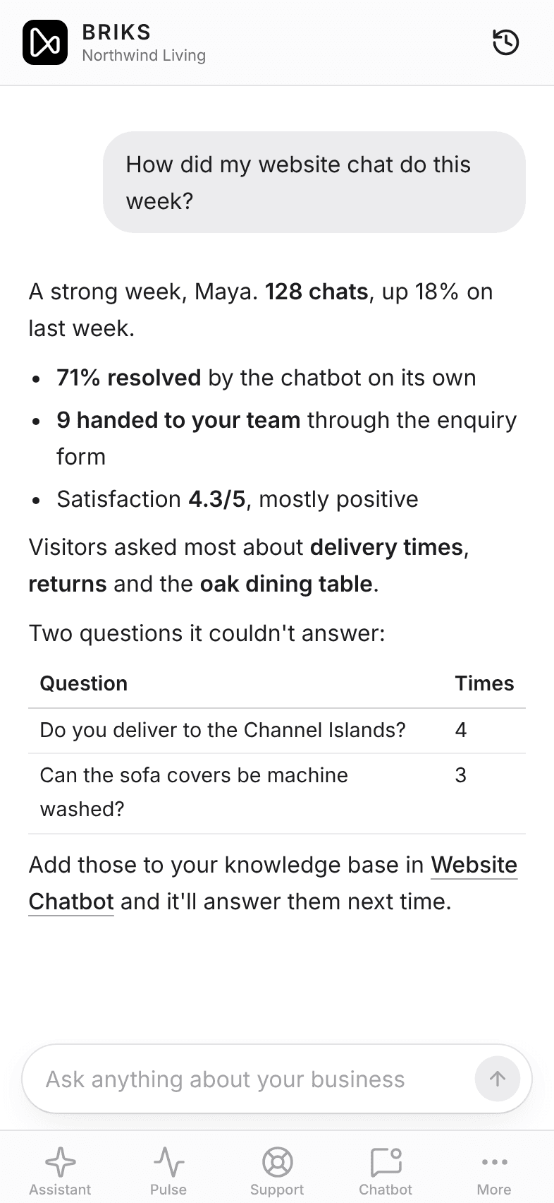 The BRIKS assistant summing up a week of website chats