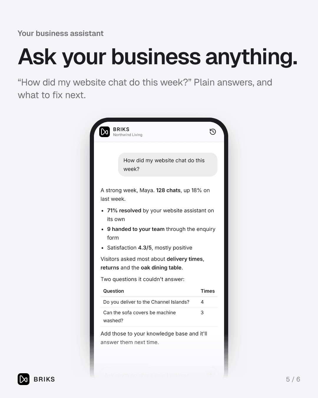 Ask your business anything